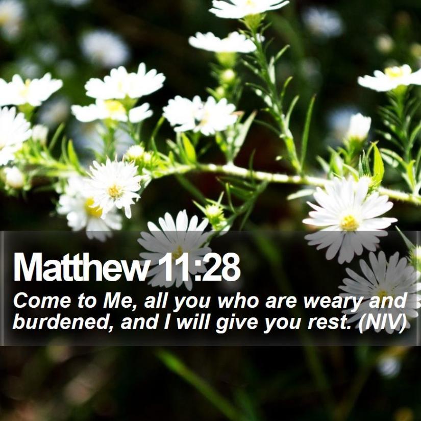 matthew-11-28-come-to-me-all-you-who-are-weary-and-burdened-and-i-will.jpg