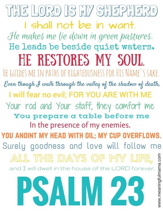 Psalm23